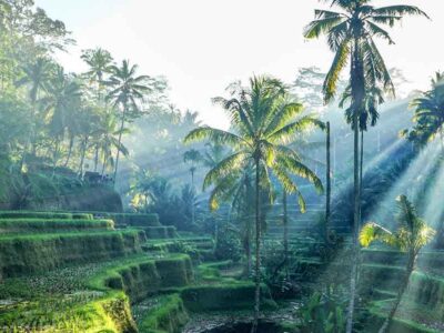Ubud - Indonesië